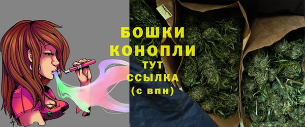 стаф Вязники